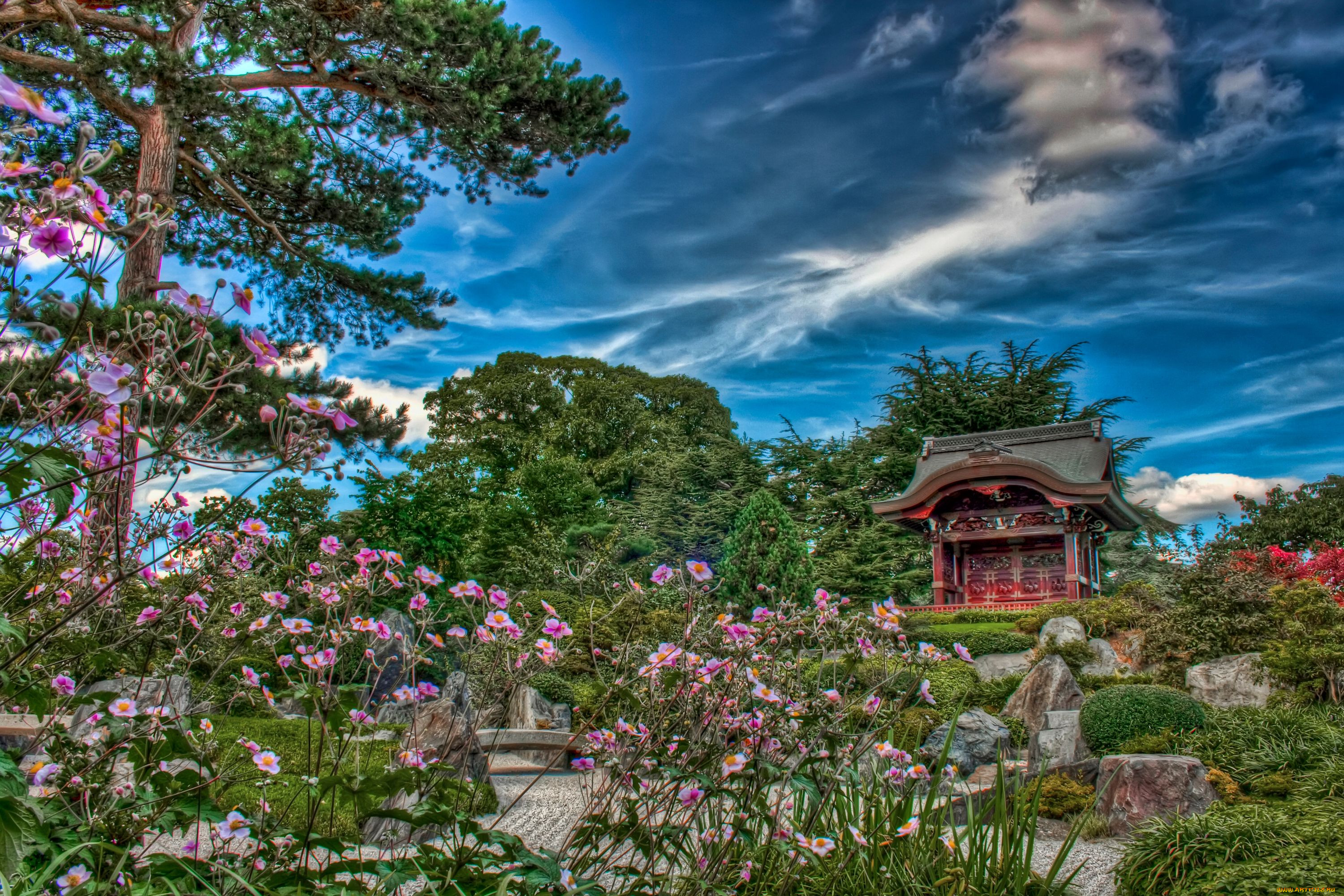 japanese, garden, in, kew, london, , 